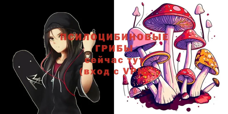 Псилоцибиновые грибы Psilocybine cubensis  где купить наркоту  Верхний Тагил 